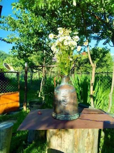 Фотография гостевого дома Guest House Nazo