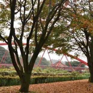 Фотографии мини отеля 
            Rainbow Bridge B&B