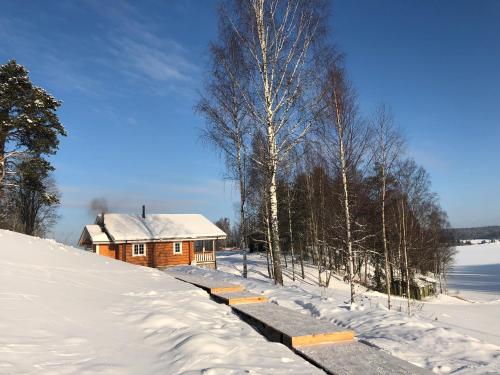 Фотография гостевого дома Forrest Lodge