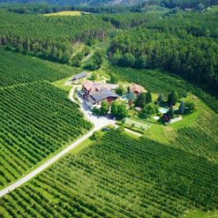 Фотография гостиницы Hotel Flötscherhof