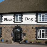 Фотография мини отеля The Black Dog Inn