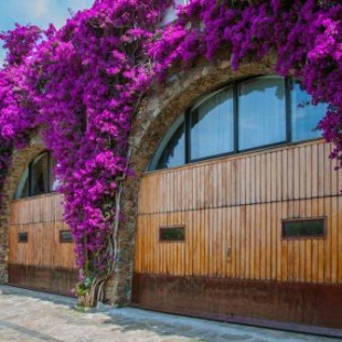 Фотография гостевого дома Villa Eliodora