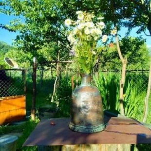 Фотография гостевого дома Guest House Nazo