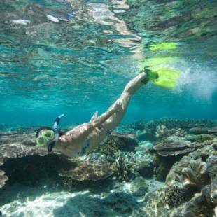 Фотографии гостиницы 
            Tioman Dive Resort