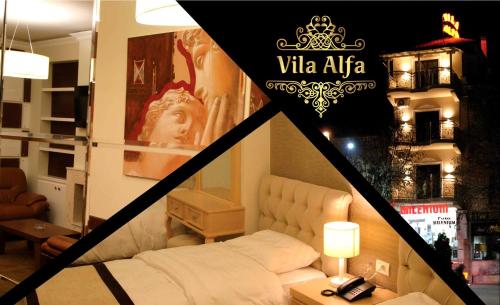 Фотография гостиницы Hotel Vila Alfa