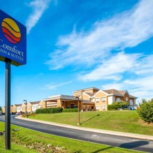 Фотография гостиницы Comfort Inn and Suites North East