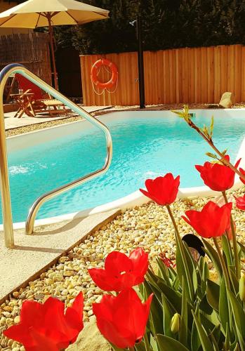 Фотография гостевого дома Restaurant und Pension Zur Puppenstube