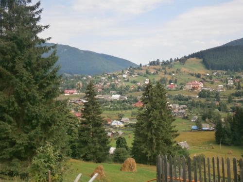 Фотография гостевого дома Na gorbochku u Natali