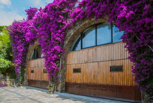 Фотографии гостевого дома 
            Villa Eliodora