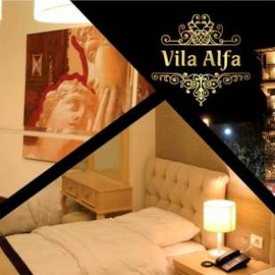 Фотографии гостиницы 
            Hotel Vila Alfa