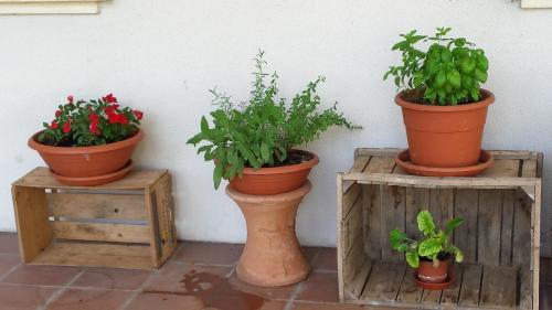 Фотография гостевого дома Ca Angiola