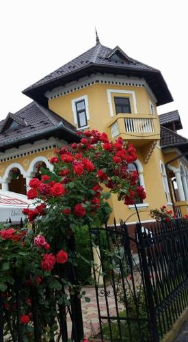 Фотография гостевого дома Pensiunea Onix