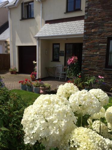 Фотография мини отеля Home from Home B&B