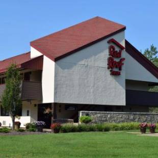 Фотографии мини отеля 
            Red Roof Inn Buffalo - Niagara Airport