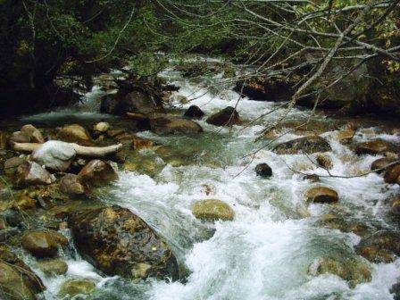 Фотографии гостиницы
Жемчужина Кавказа