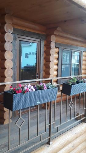 Фотография гостевого дома Winnie House