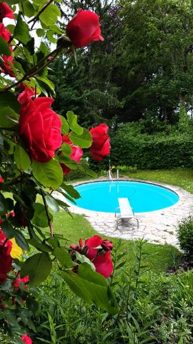 Фотография гостевого дома Landhaus am Kurpark