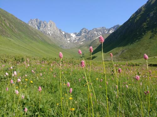 Фотографии гостевого дома 
            Lali`s Guest House in Juta