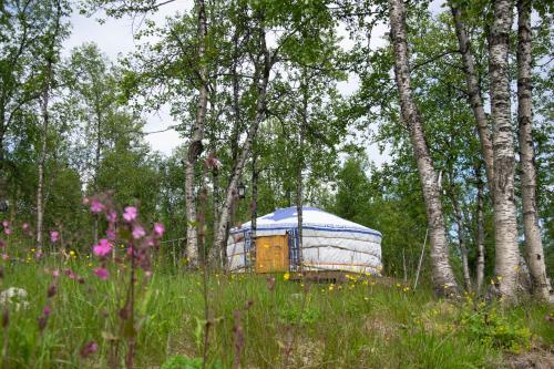 Фотографии базы отдыха 
            Aurora Yurt