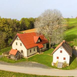 Фотографии базы отдыха 
            Tourist Farm Rajšp