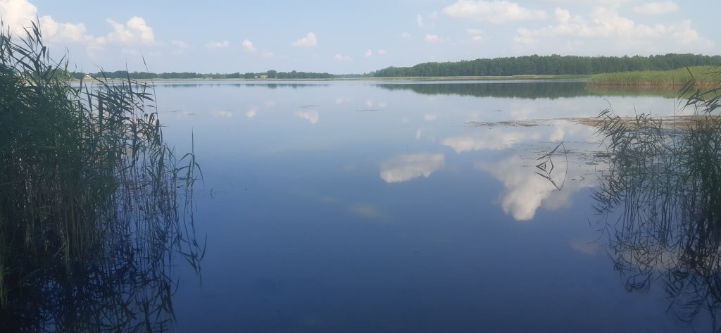 Фотография Коттеджа Дом Агроусадьба Сосны