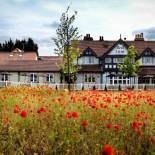 Фотография гостиницы The Red Lion Inn by Greene King Inns