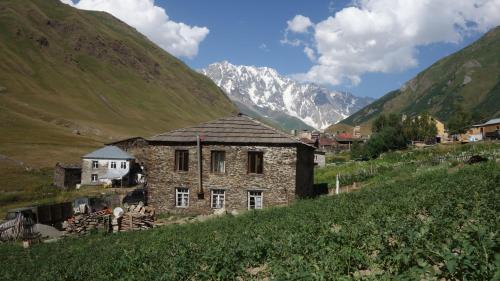 Фотография гостевого дома Caucasus Guesthouse