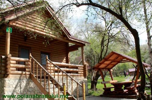 Фотография гостиницы Poiana Bradului