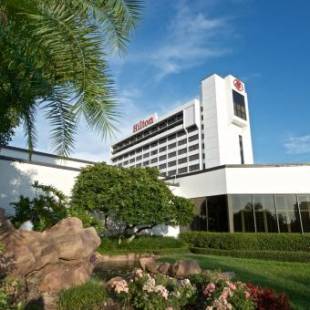 Фотографии гостиницы 
            Hilton Tampa Airport Westshore