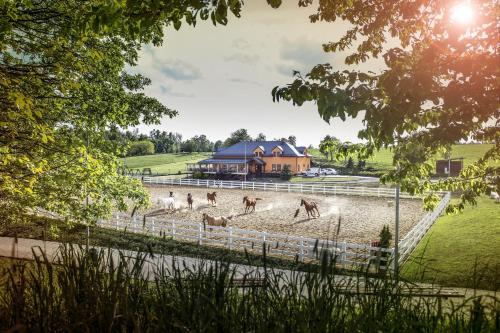 Фотографии базы отдыха 
            Hotel Horse Riding - Jezdecký Areál Tršice