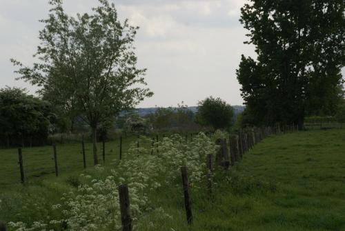 Фотография гостевого дома Enjoytoday vakantiewoning 49