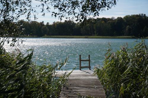 Фотографии кемпинга 
            Domki Nad Jeziorem "Półwysep SURYTY"