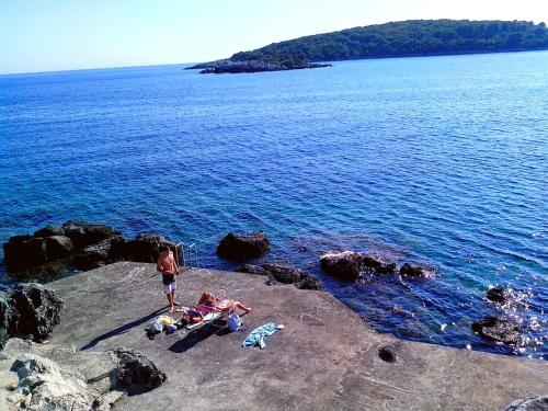 Фотография гостевого дома Villa Feral