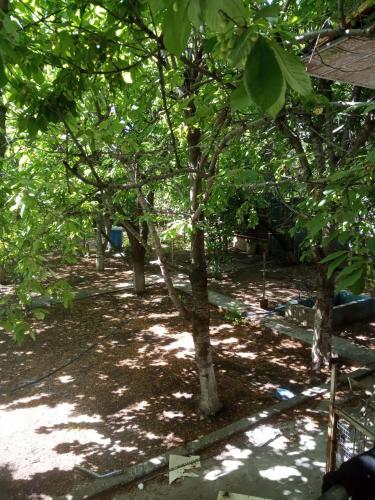 Фотография хостела Valer