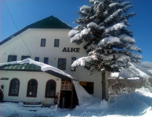 Фотография гостевого дома White Rabbit Madarao