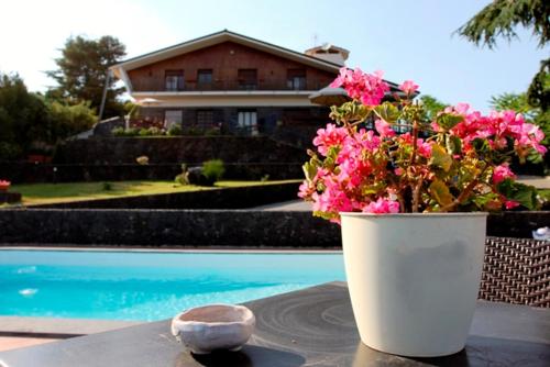 Фотография мини отеля Etna Hut