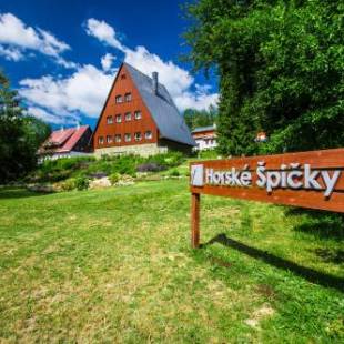 Фотографии гостиницы 
            Garni Hotel Horské Špičky