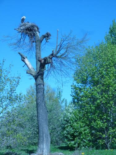 Фотографии гостевого дома 
            Дом для отпуска Косохново