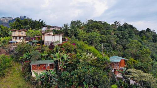 Фотографии мини отеля 
            Mirador Finca Morrogacho