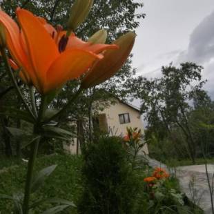 Фотографии гостевого дома 
            Casa Fluțar