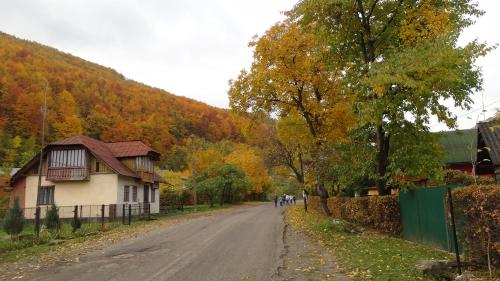 Фотография гостиницы Уютная