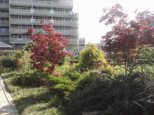 Фотография гостиницы Green House