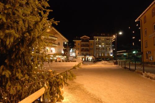 Фотография гостиницы Hotel Faloria