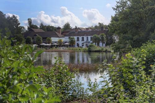 Фотография гостиницы Frensham Pond Country House Hotel & Spa