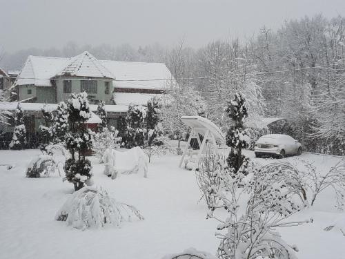 Фотография гостевого дома Pensiunea Poiana Avrigului