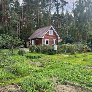 Фотография гостевого дома ОптинаДОМ