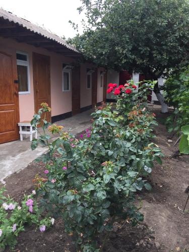 Фотография гостевого дома Радуга