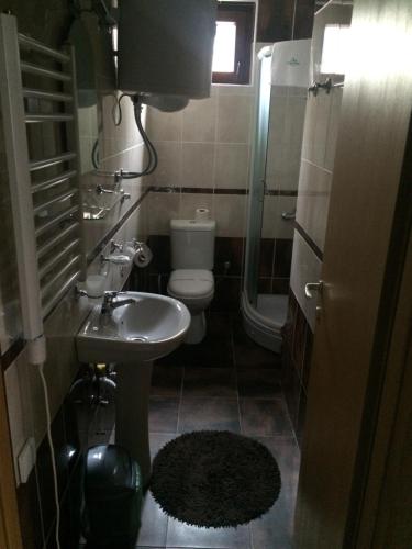 Фотография апарт отеля Apartman De lux Zlatibor