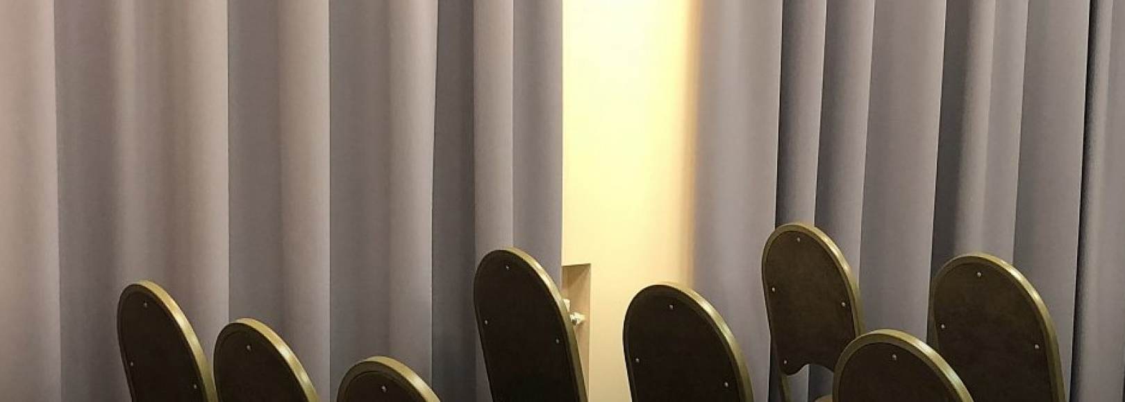 Фотография конференц-зала Репино