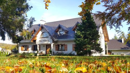 Фотография мини отеля Dom Malowany